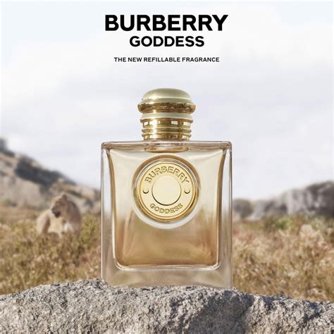 goddness burberry|burberry goddess 50 ml price.